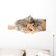 Cat on gray background Wall Decal