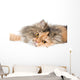 Cat on gray background Wall Decal