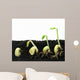 Germinating Beans Wall Decal