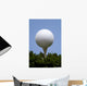 golf ball on tee on grass Wall Mural