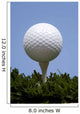 golf ball on tee on grass Wall Mural