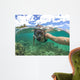 Woman Snorkeling Wall Mural