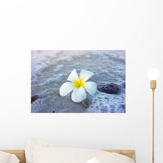 Flower Beach Wall Mural