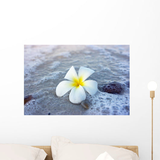 Flower Beach Wall Mural