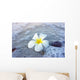 Flower Beach Wall Mural