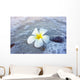 Flower Beach Wall Mural