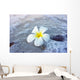 Flower Beach Wall Mural
