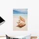 Shell in the Caribbean Wall Mural