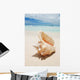 Shell in the Caribbean Wall Mural