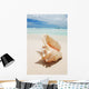 Shell in the Caribbean Wall Mural
