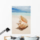Shell in the Caribbean Wall Mural