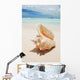 Shell in the Caribbean Wall Mural