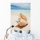 Shell in the Caribbean Wall Mural