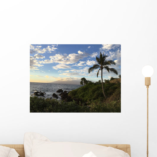 View of Lanai Wall Mural