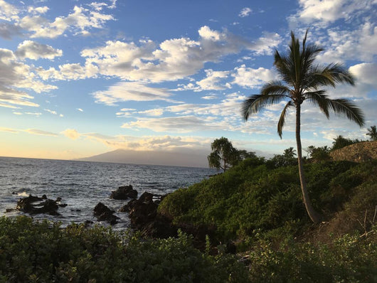 View of Lanai Wall Mural