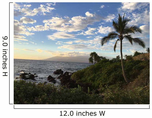 View of Lanai Wall Mural
