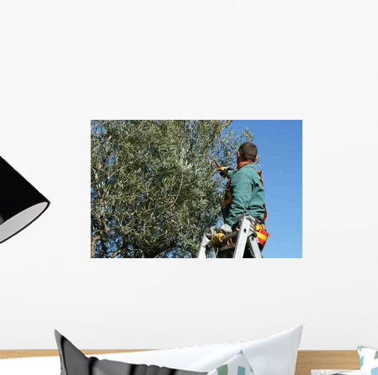 Size Olives Wall Decal