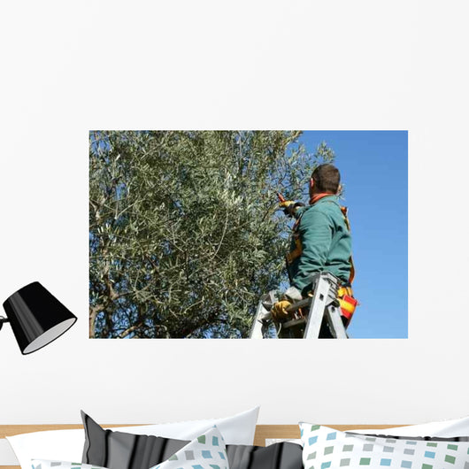 Size Olives Wall Decal