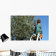 Size Olives Wall Decal