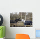 Horses Winter Brandenburg Wall Mural