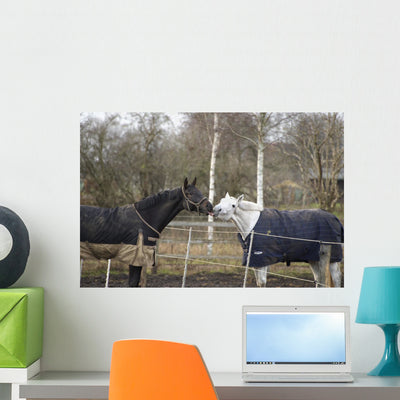 Horses Winter Brandenburg Wall Mural shown on a wall