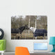 Horses Winter Brandenburg Wall Mural