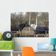 Horses Winter Brandenburg Wall Mural