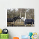 Horses Winter Brandenburg Wall Mural
