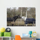 Horses Winter Brandenburg Wall Mural