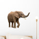 African Elephant Isolated on White Wall Decal