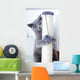 Young Cute Cat Scratching Wall Decal