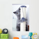 Young Cute Cat Scratching Wall Decal