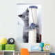 Young Cute Cat Scratching Wall Decal