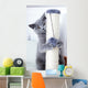 Young Cute Cat Scratching Wall Decal