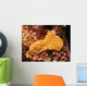 Sternenkoralle-star Coral Wall Decal