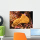 Sternenkoralle-star Coral Wall Decal