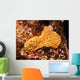 Sternenkoralle-star Coral Wall Decal