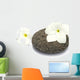 Frangipani on Honeycomb Pebble Blossoms Wall Decal
