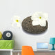 Frangipani on Honeycomb Pebble Blossoms Wall Decal