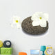 Frangipani on Honeycomb Pebble Blossoms Wall Decal