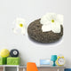 Frangipani on Honeycomb Pebble Blossoms Wall Decal