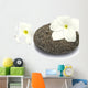 Frangipani on Honeycomb Pebble Blossoms Wall Decal