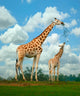 Giraffe Wall Mural