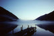 Morning Mist Wall Decal