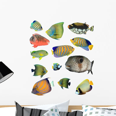 Various Tropical Reef Fish Wall Decal Sticker Set shown on a wall