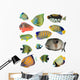 Various Tropical Reef Fish Wall Decal Sticker Set
