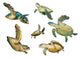 Hawksbill and Green Turtles Wall Decal Sticker Set