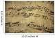old music sheet Wall Mural