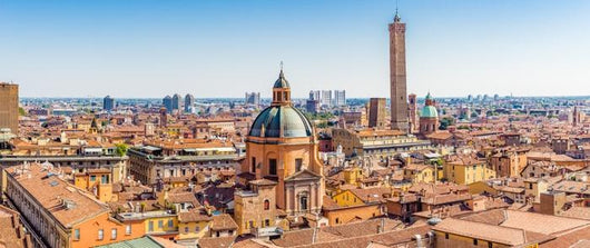 Cityscape Bologna Wall Decal