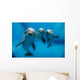 Three Dolphins Underwater Wall Decal